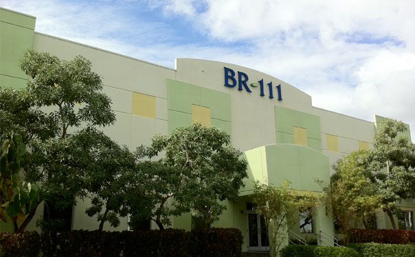 Low-slope roofing system